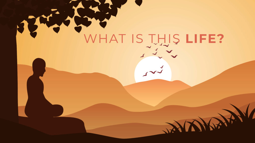 What The What The Life Song Lyrics